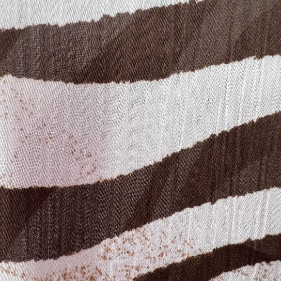 Chico’s Sheer Zebra Women’s Size 2 or Medium Hidden Button Blouse Shirt Top - Picture 3 of 4